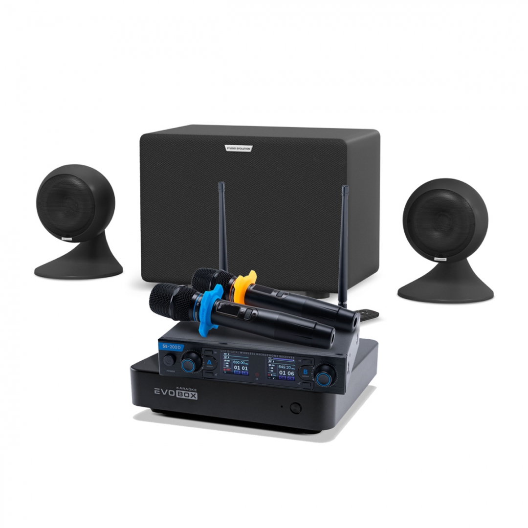 караоке-комплект EVOBOX + EvoSound Sphere 2.1 в Озерске