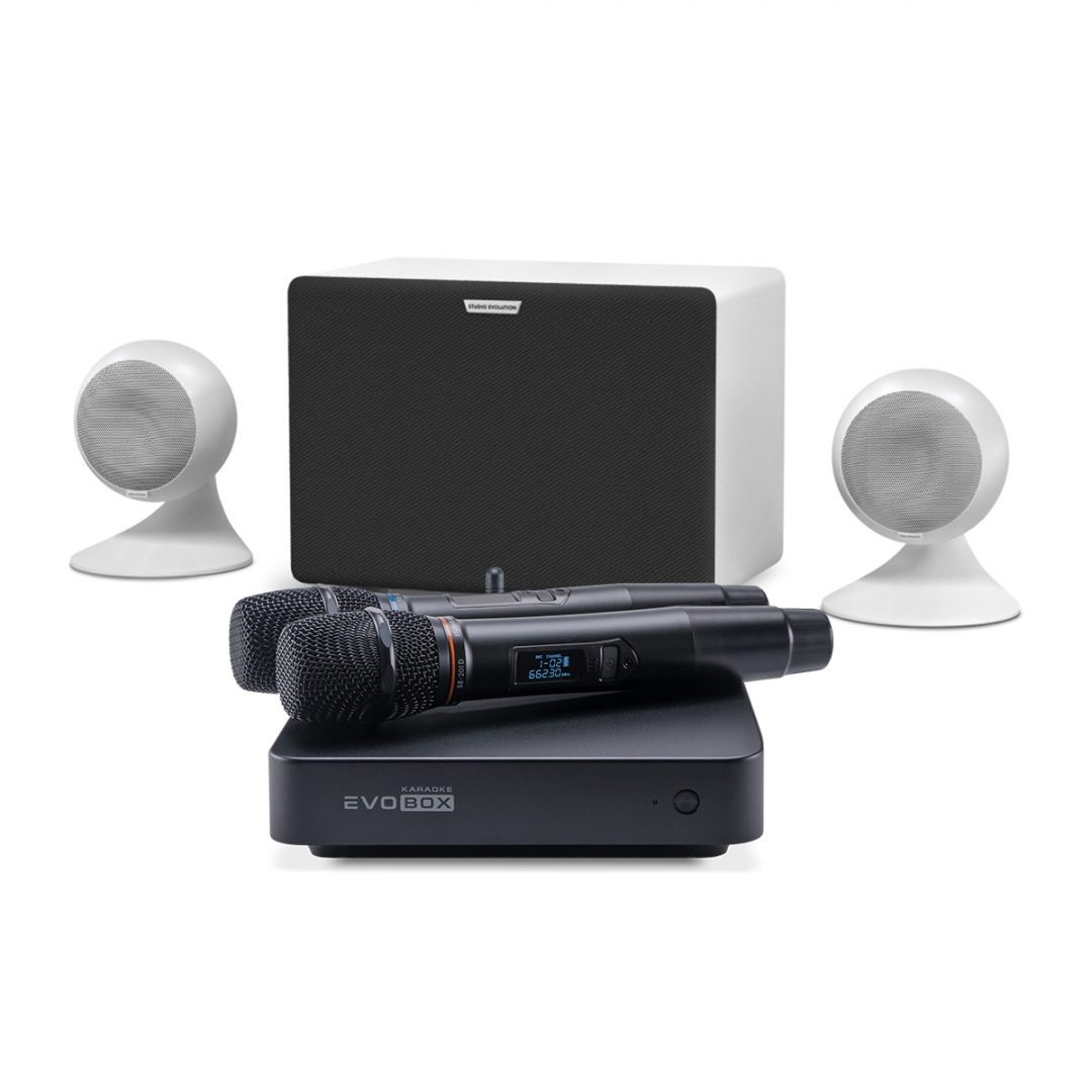 караоке-комплект EVOBOX Classic + EvoSound Sphere 2.1 в Озерске