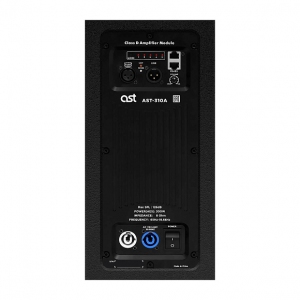 Активная акустическая система AST-310A в Озерске