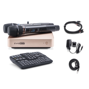 EVOBOX Classic караоке-система для дома в Озерске