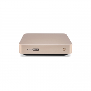 EVOBOX с микрофонами в Озерске